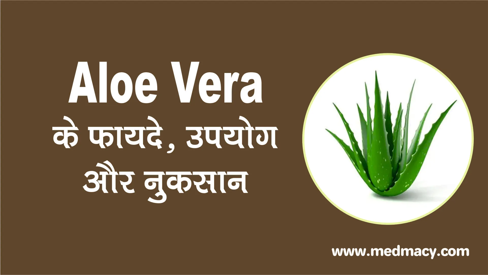 Aloe Vera Benefits in Hindi